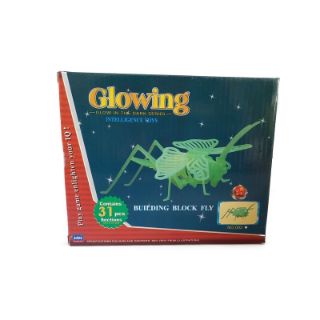Obrázek z 3D puzzle svítící ve tmě - kobylka 